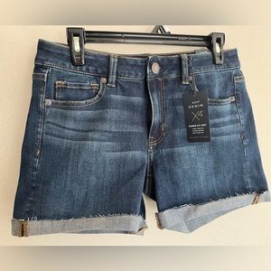 AE X4 Denim Shorts